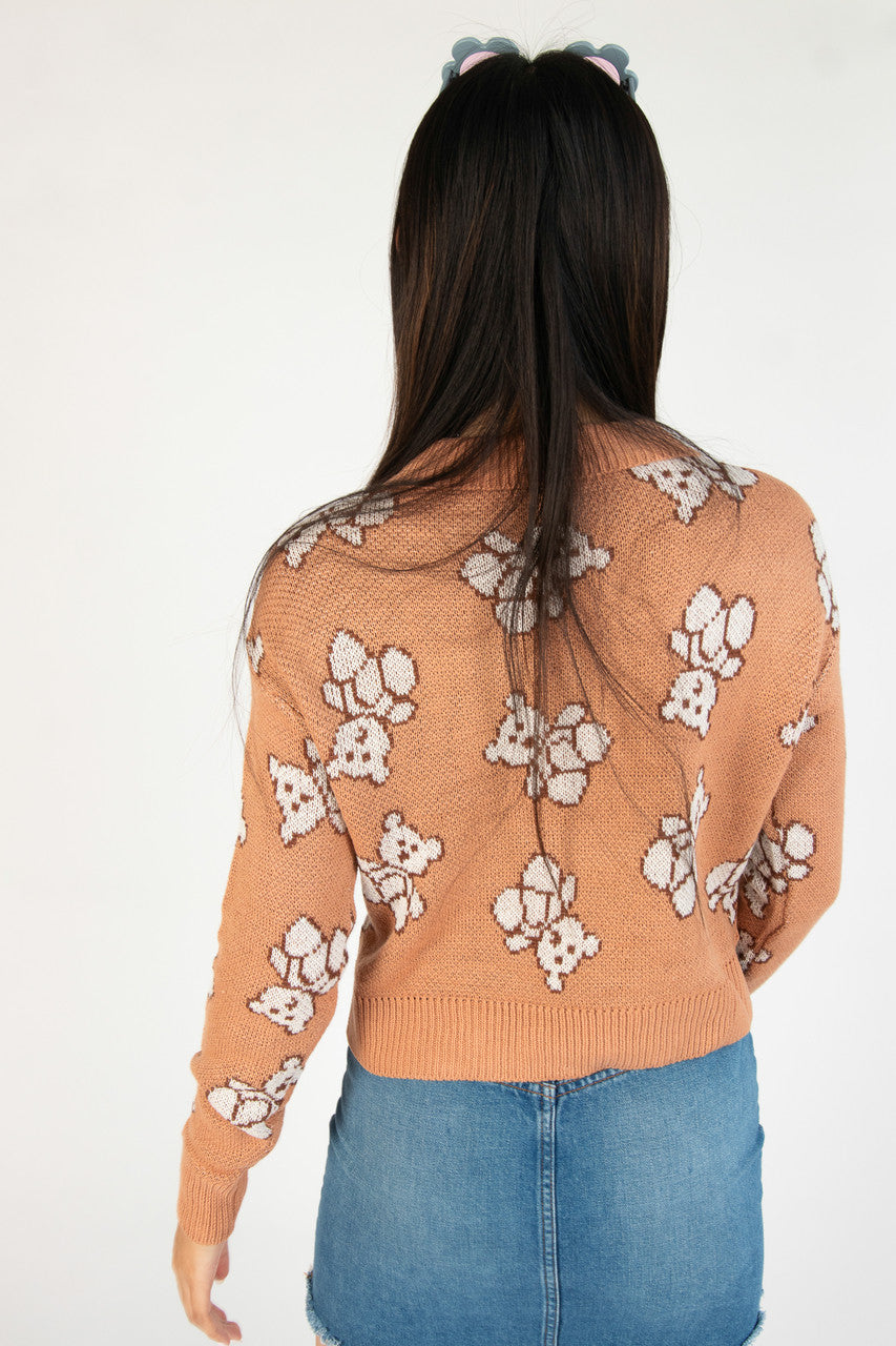 Teddy Bear Henley Sweater