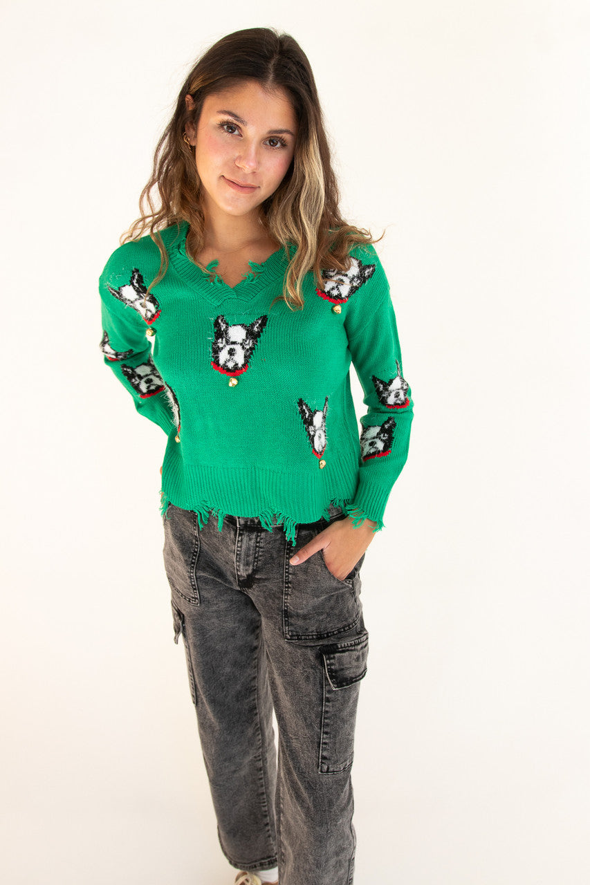 Boston Terrier Bell Distressed Sweater