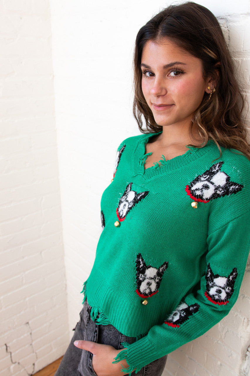 Boston Terrier Bell Distressed Sweater
