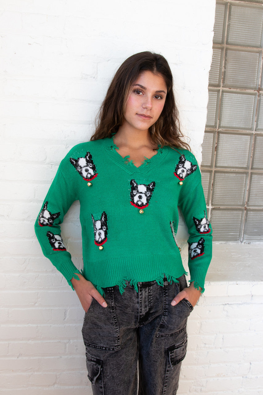 Boston Terrier Bell Distressed Sweater