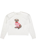 Cozy Pug Sweater