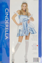 Cinderella Costume