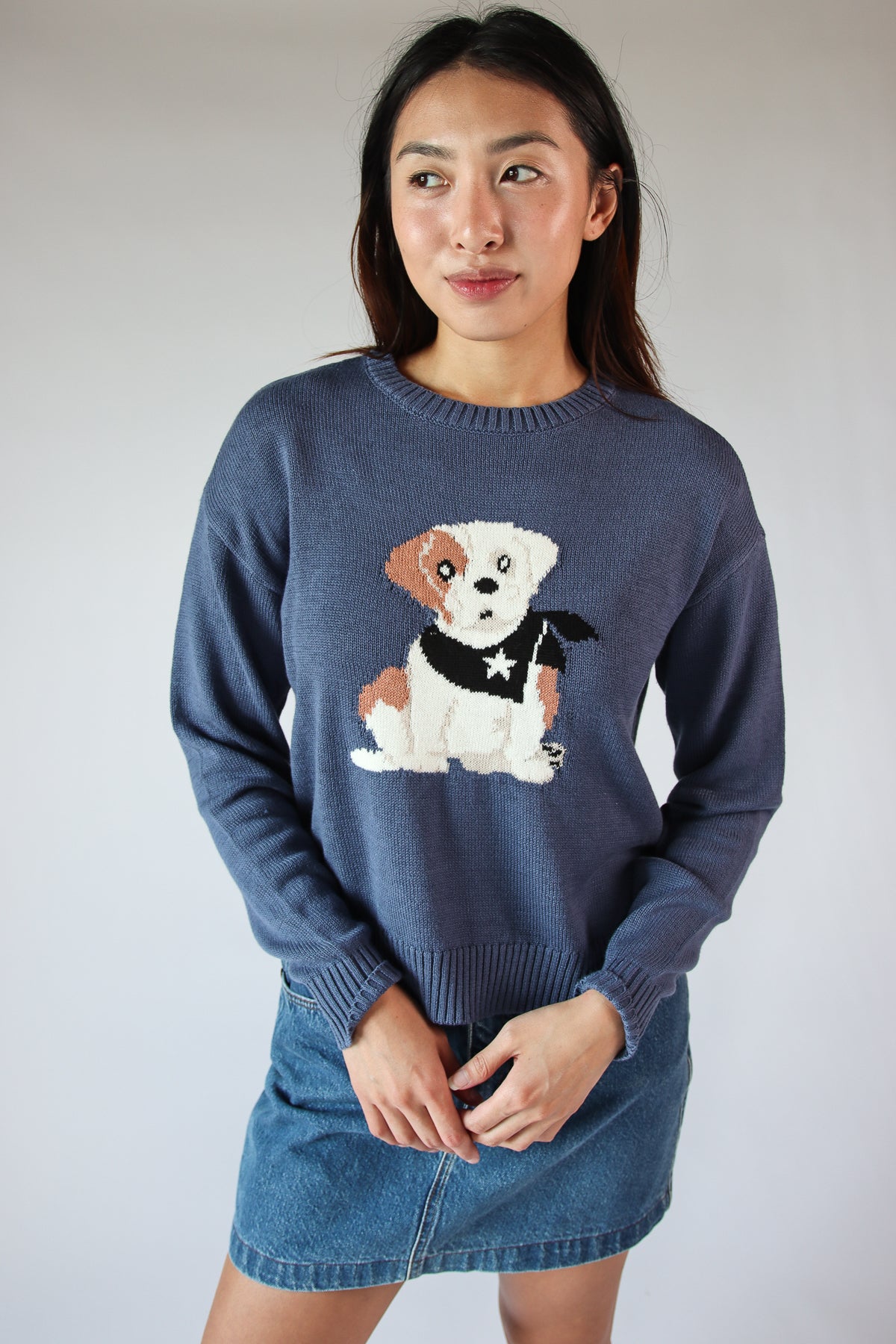 Puppy Sweater