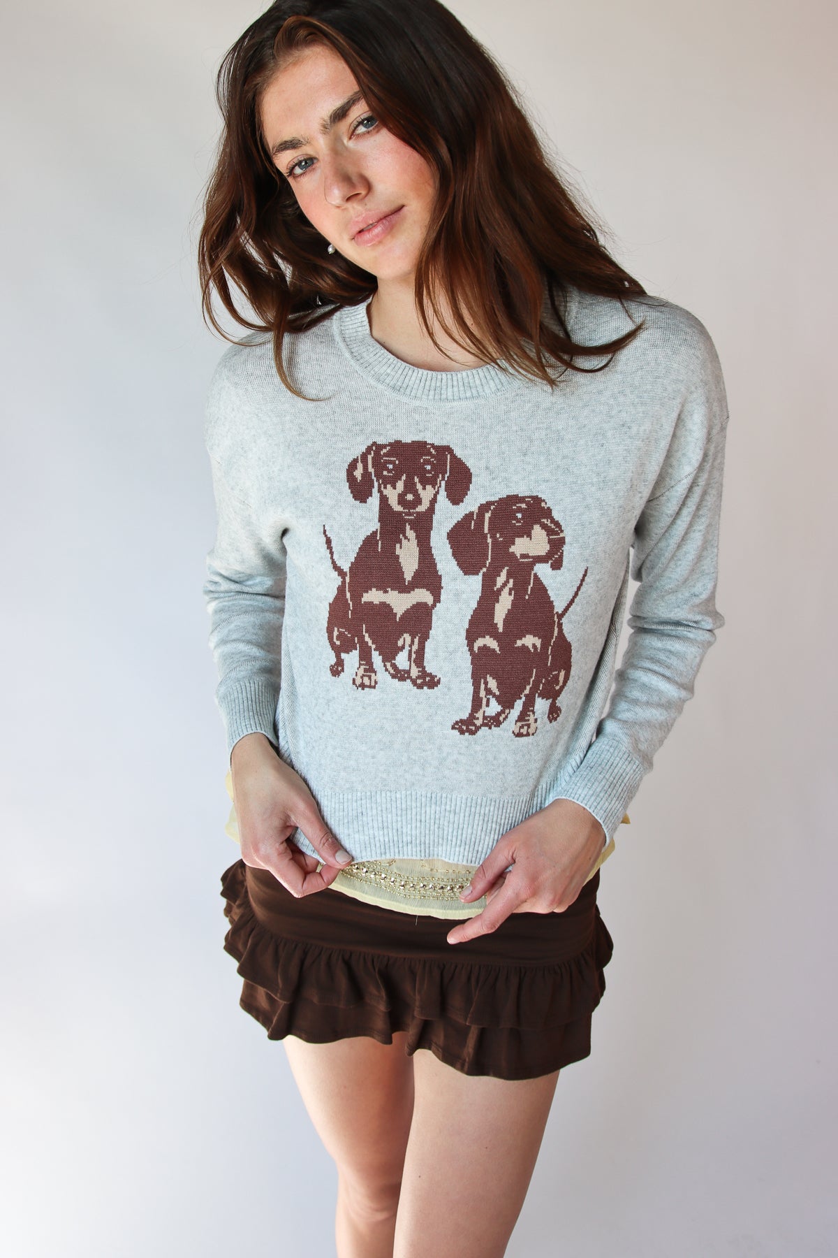 Dachshund Sweater