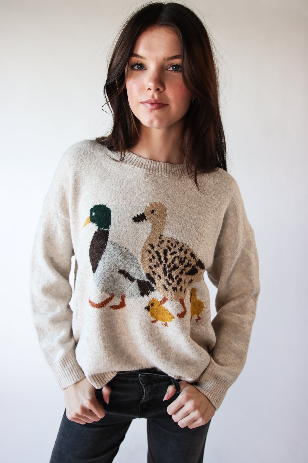 Duck Family Sweater