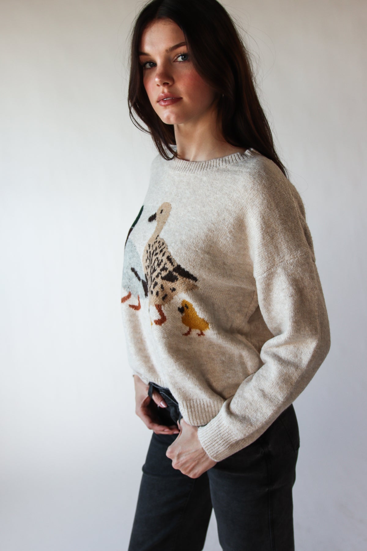 Duck Family Sweater