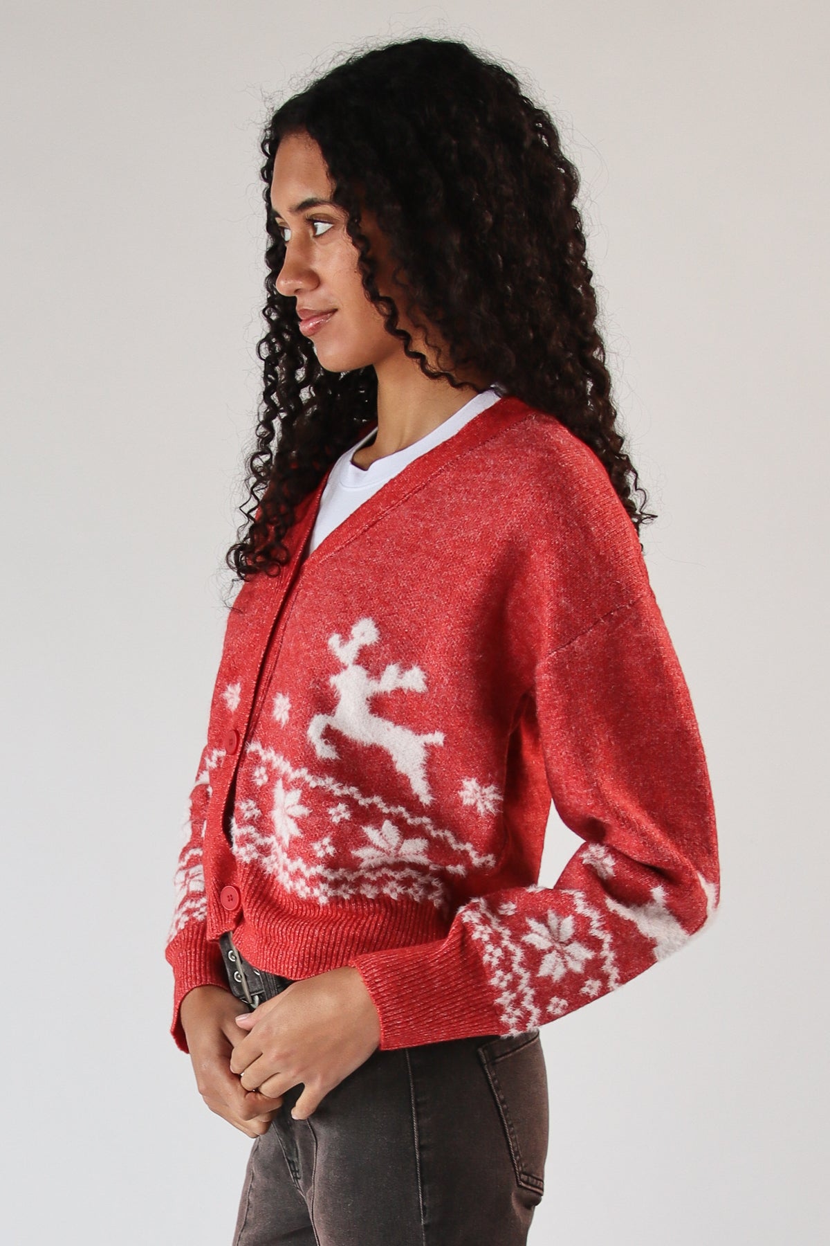 Fair Isle Fuzzy Cardigan