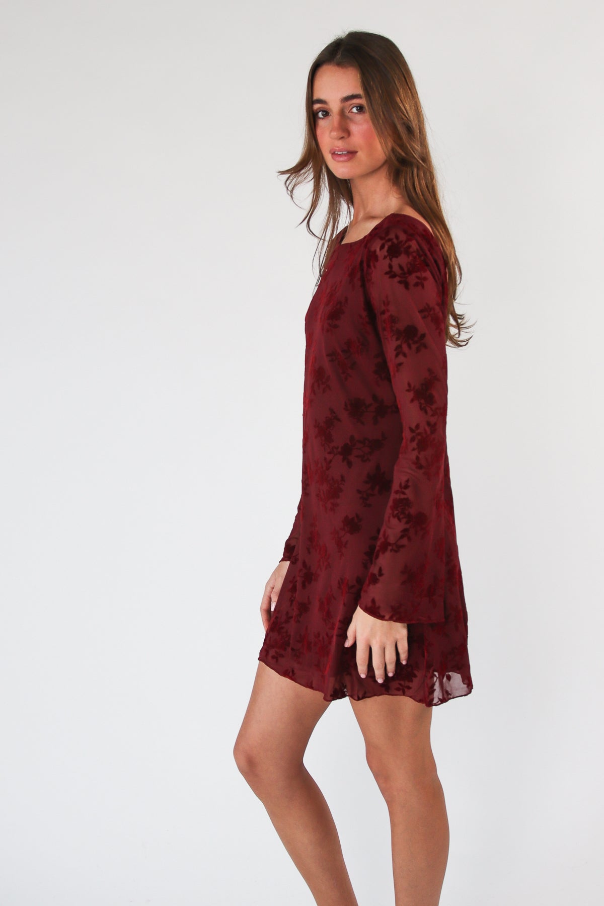 Floral Flocked Mesh Long Sleeve Mini Dress