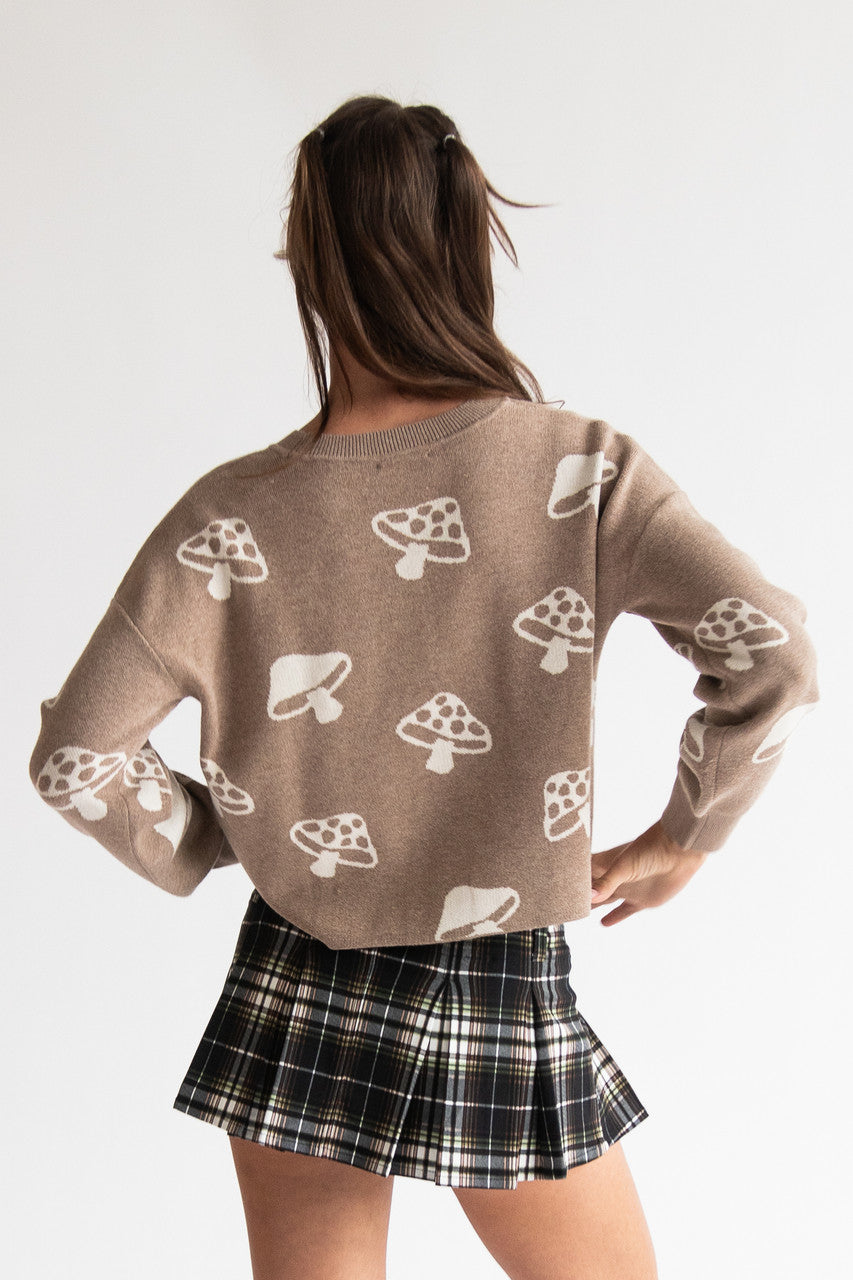 Mocha Mushroom Cropped Sweater