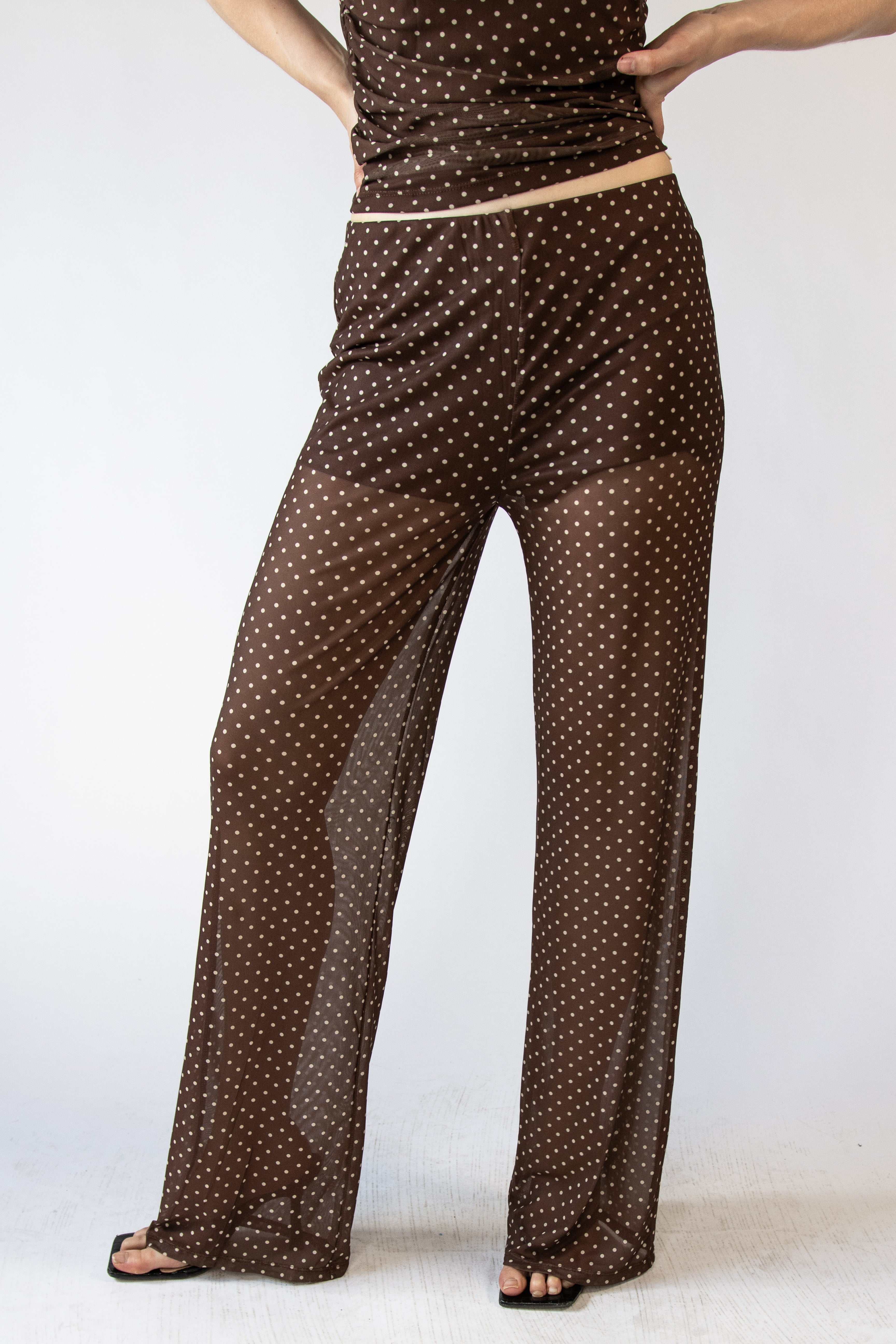 Polka Dot Print Mesh Wide Leg Pants