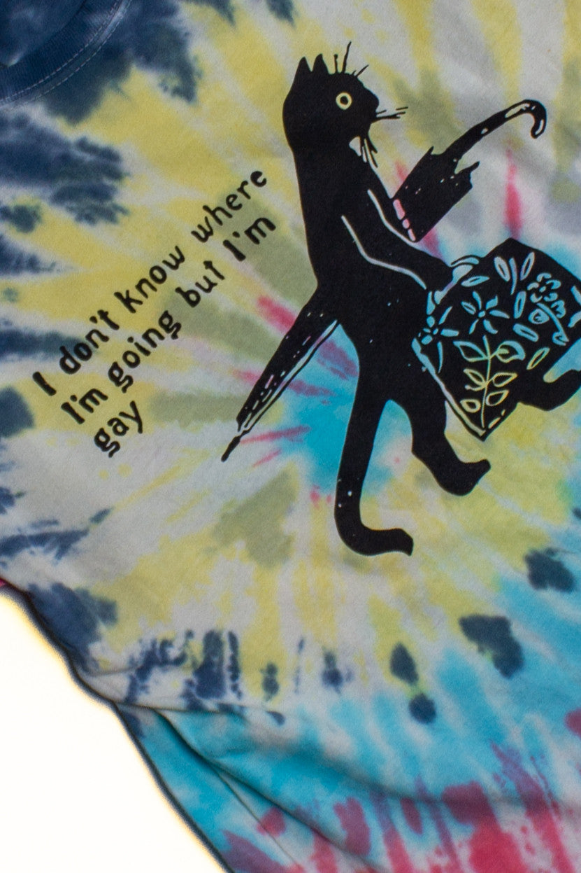 Rainbow Gay Cat Tie Dye Screen Print T-Shirt 1