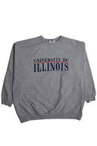 Vintage University Of Illinois Sweatshirt (1990s)