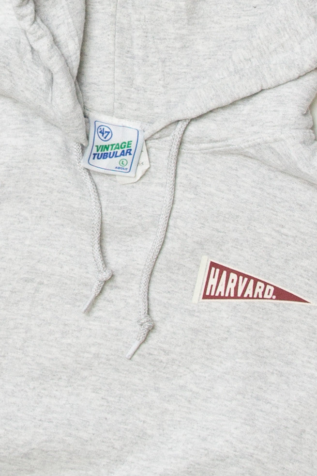 Vintage Tubular "Harvard" Hooded Sweatshirt
