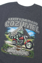  Harley Davidson Since 03 Highway Sleeveless T-Shirt (2010s)