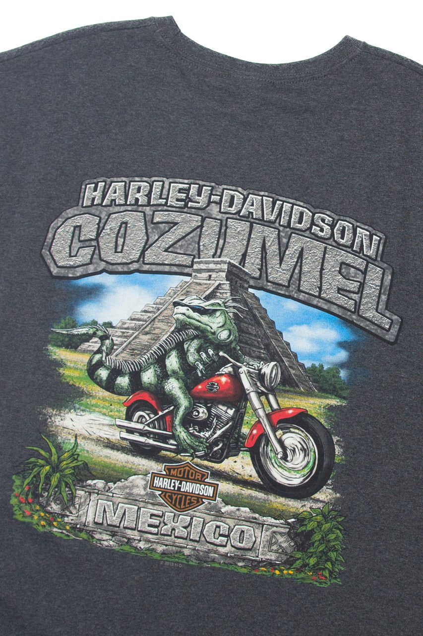  Harley Davidson Since 03 Highway Sleeveless T-Shirt (2010s)