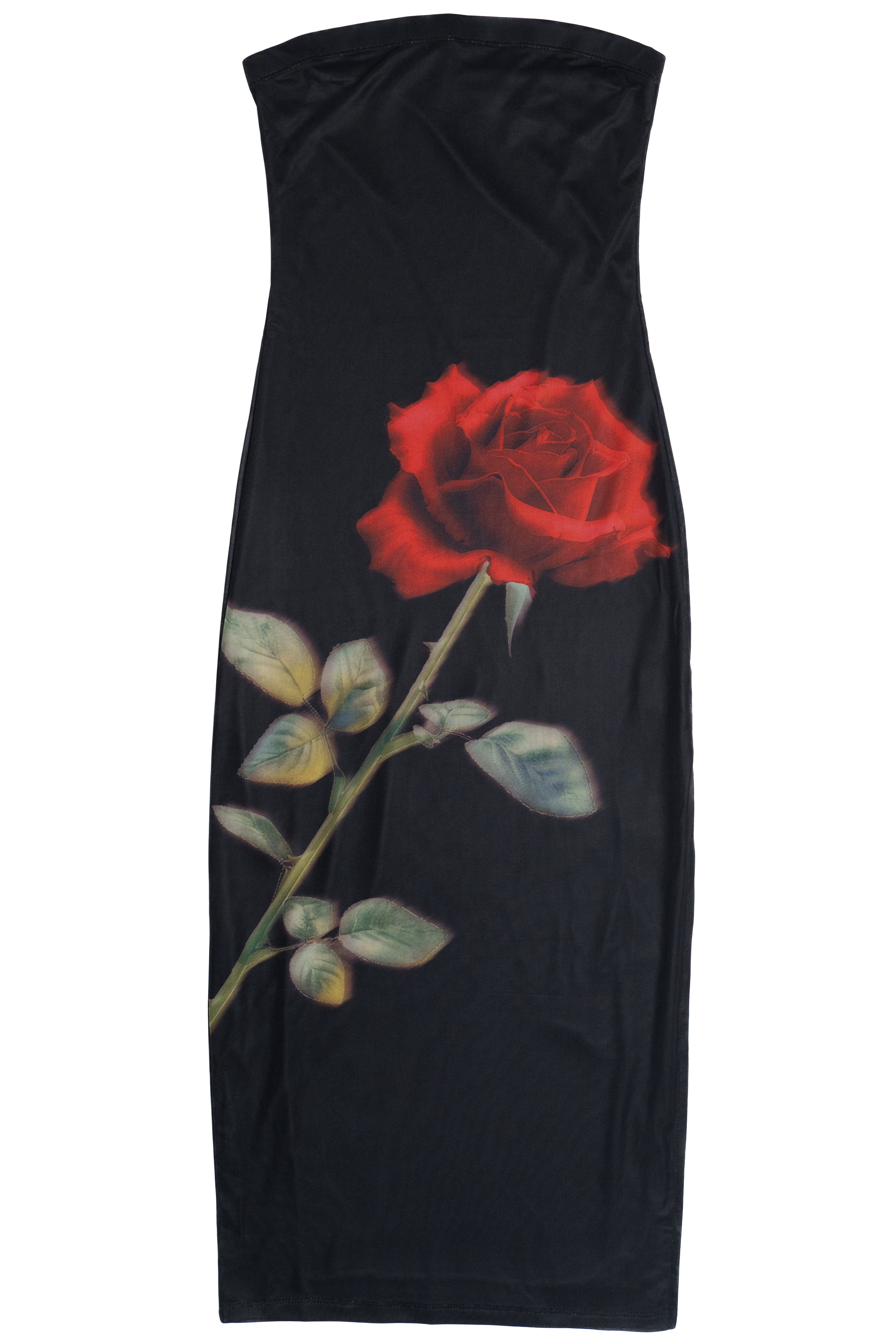 Rose Graphic Mesh Midi Tube Dress