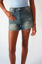 Embroidered Flowers Cut Off Denim Shorts