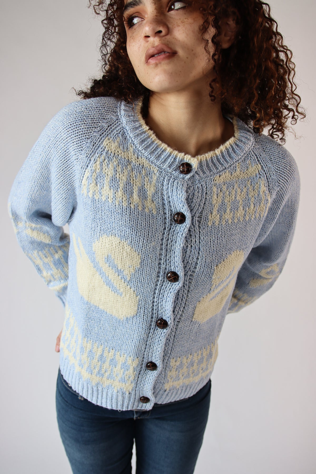 Swan Fair Isle Cardigan Blue