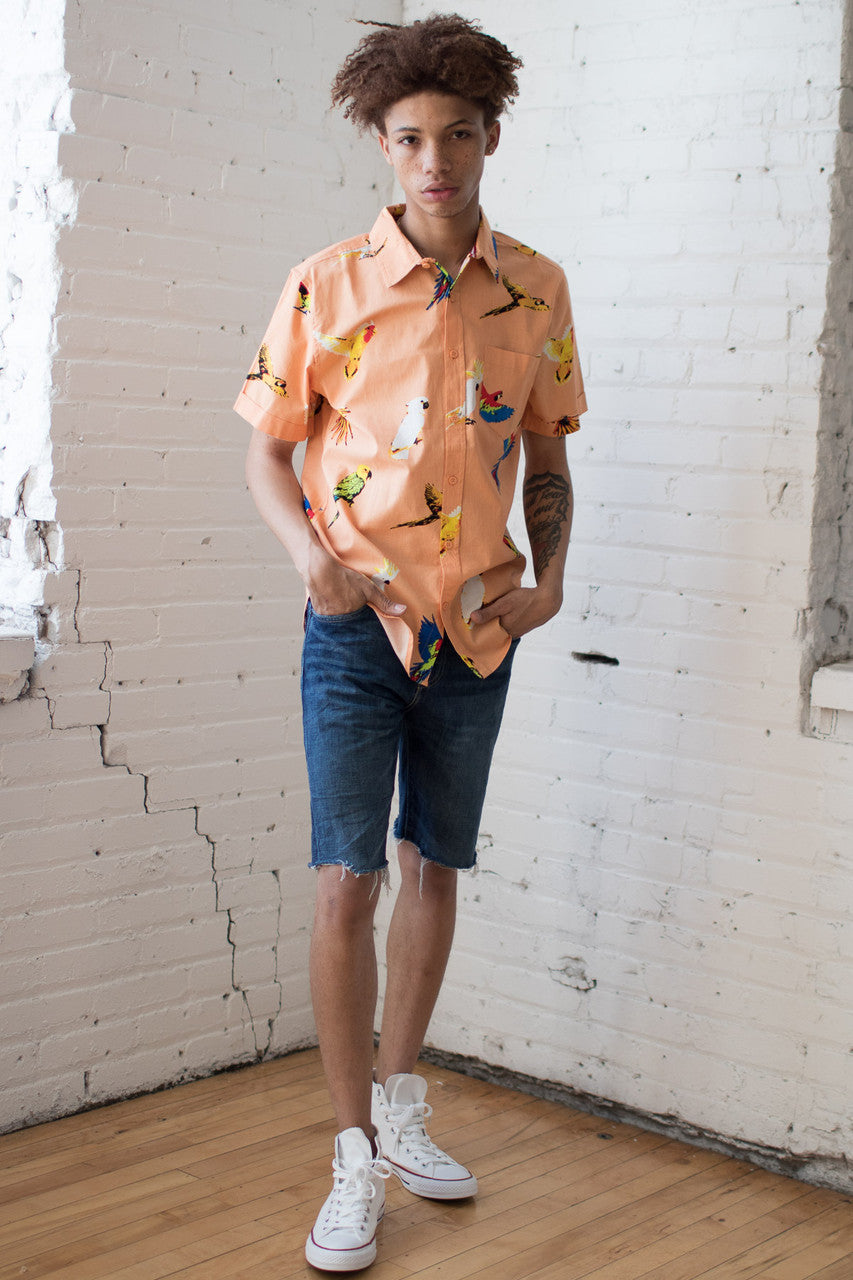 Men's Denim Shorts 58
