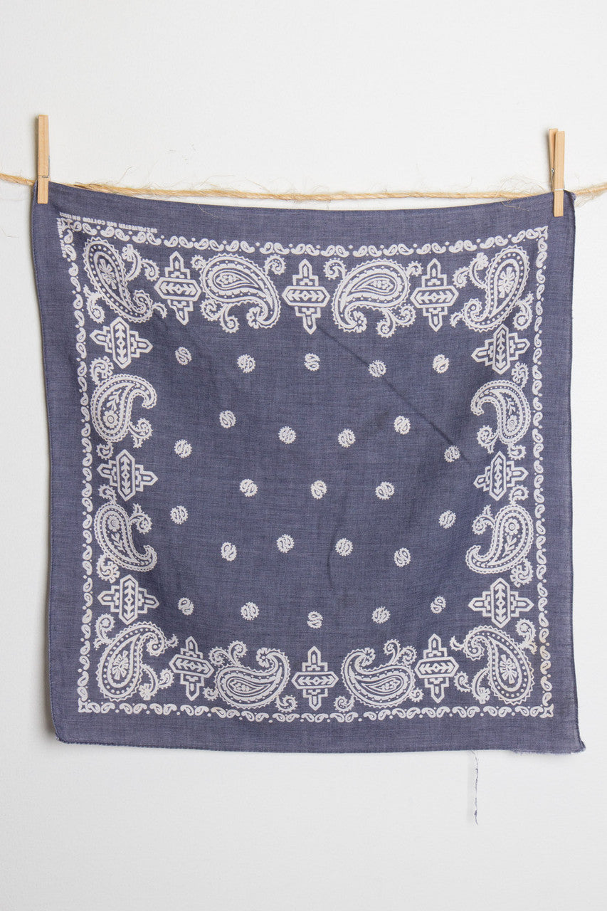 Paisley Bandana 8