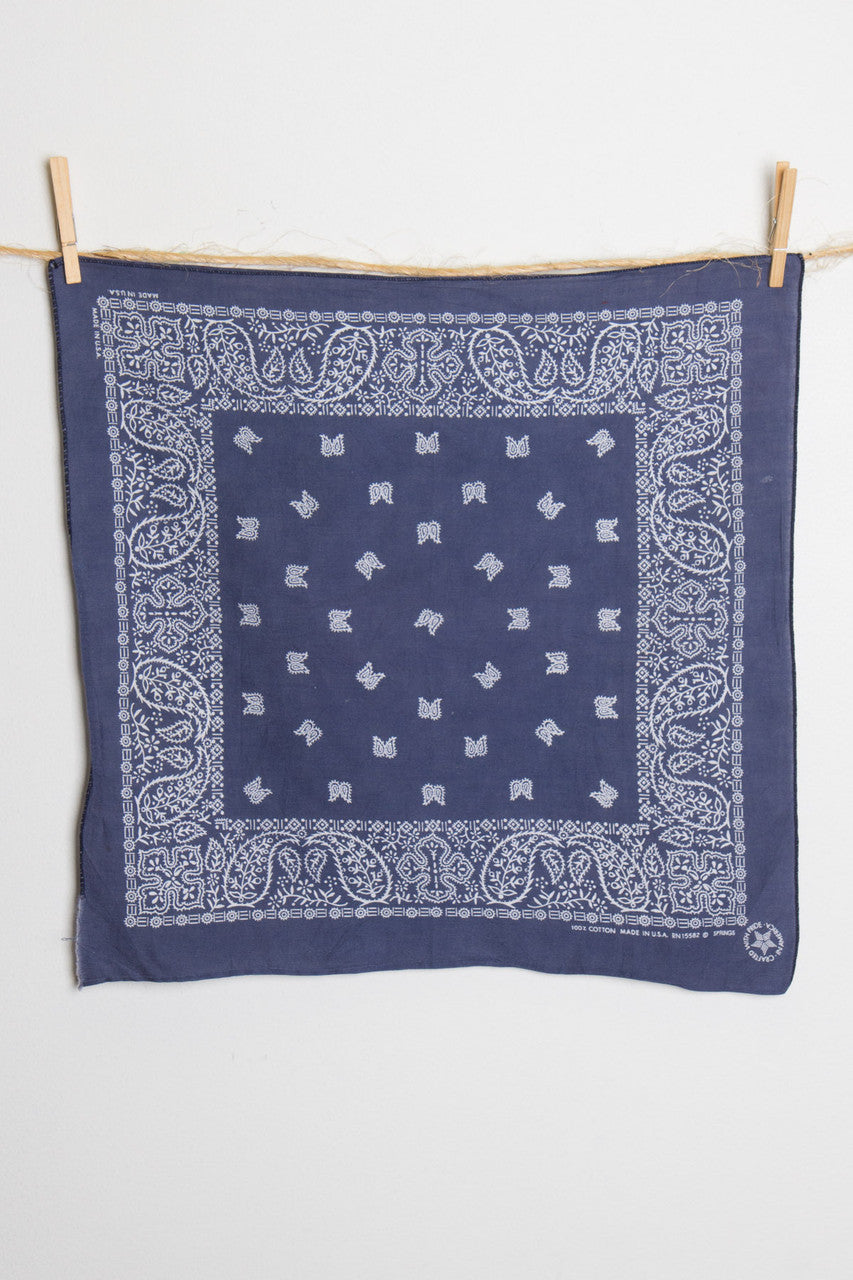 Paisley Bandana 1