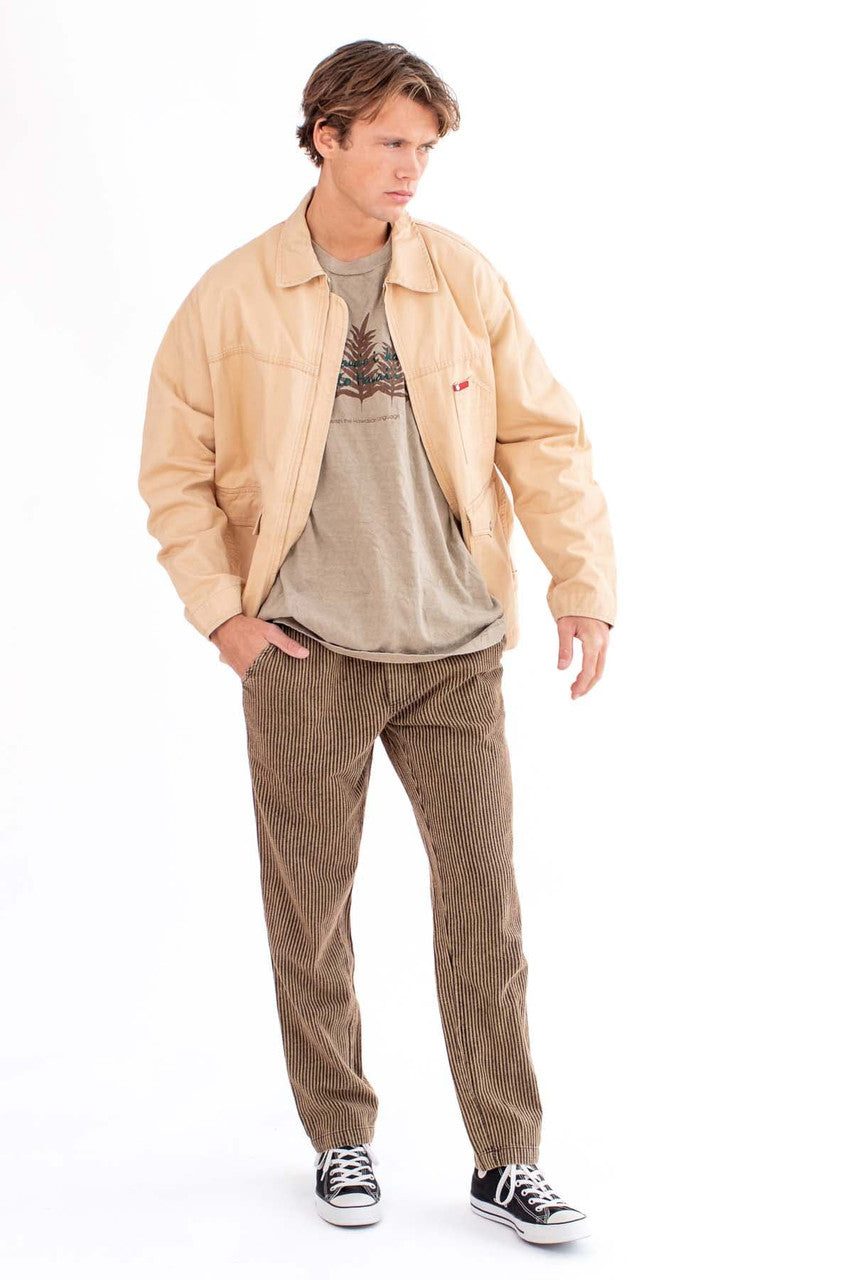 Brown Pinstriped Cotton Pants