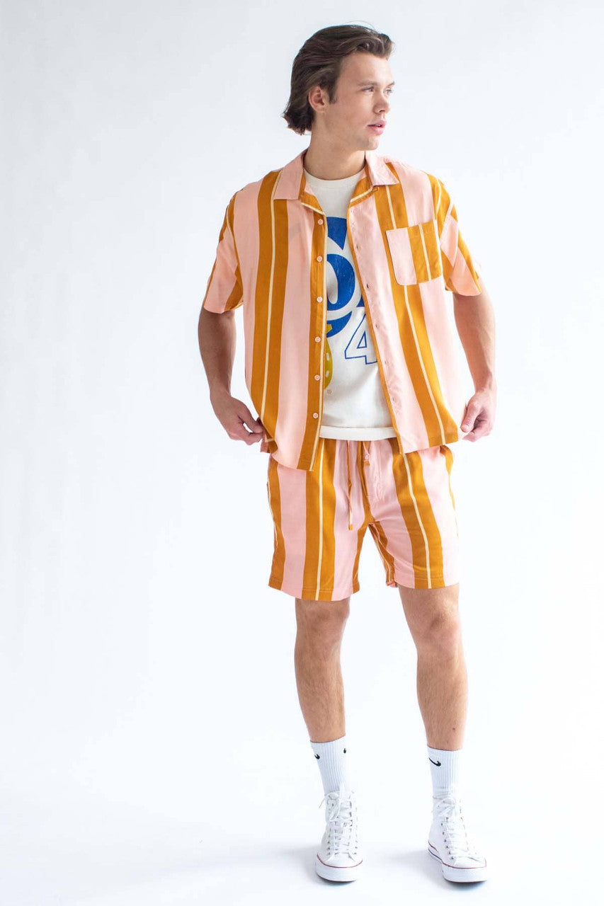 Pink Cabana Striped Shorts