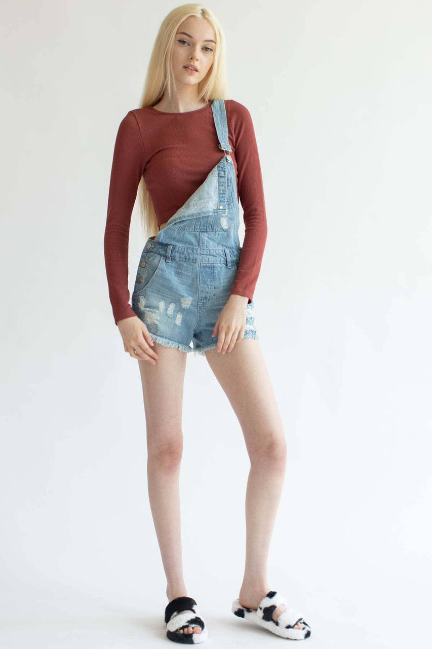 Clay Seamless Long Sleeve Crew Neck Crop Top