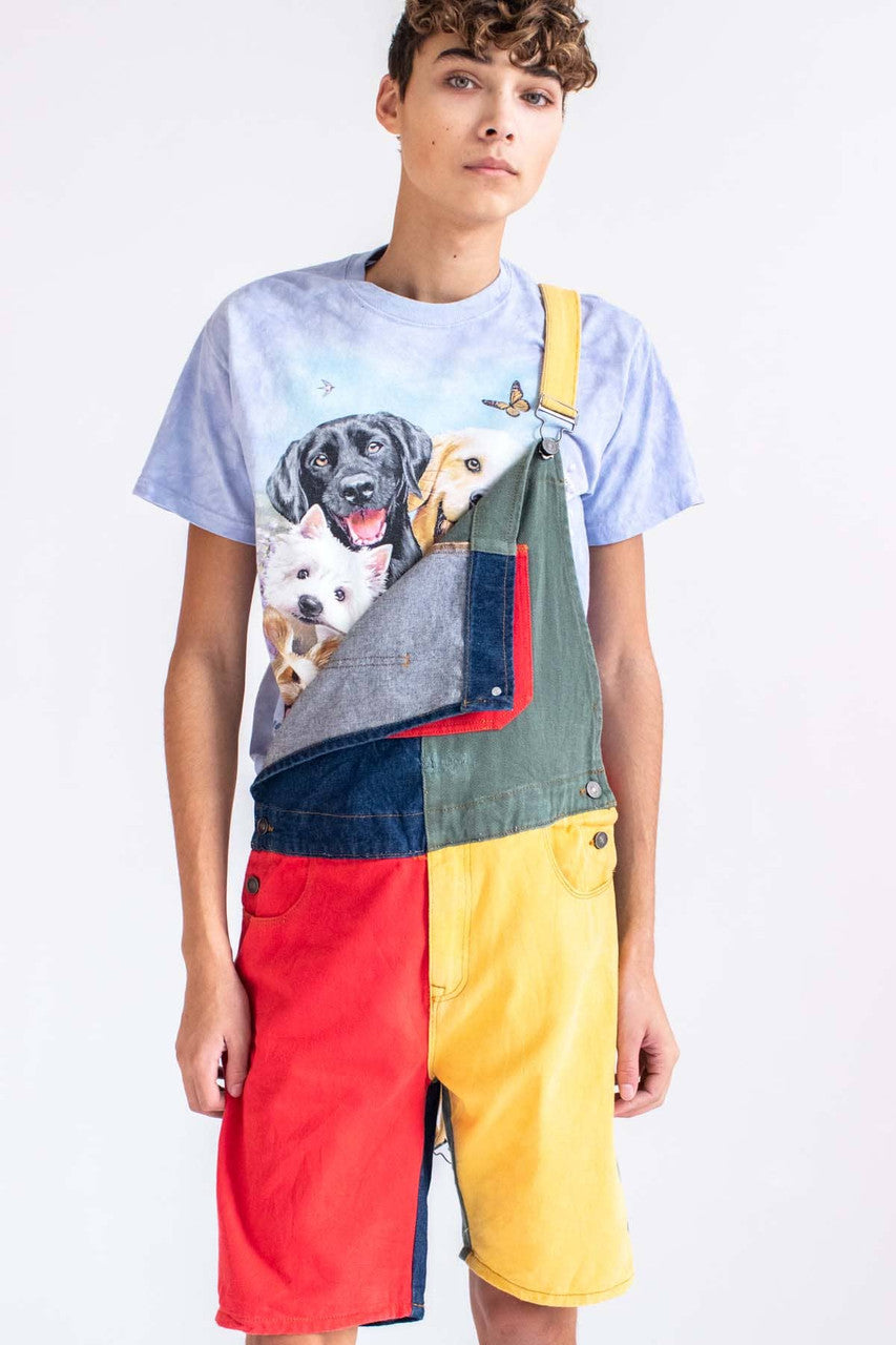 Vintage Color Blocked Denim Overall Shorts (sz. S)