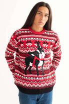 Derpy Christmas Dog Sweater