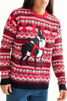 Derpy Christmas Dog Sweater