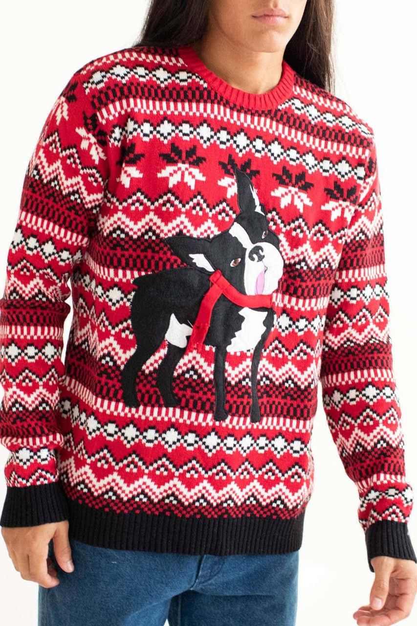 Derpy Christmas Dog Sweater