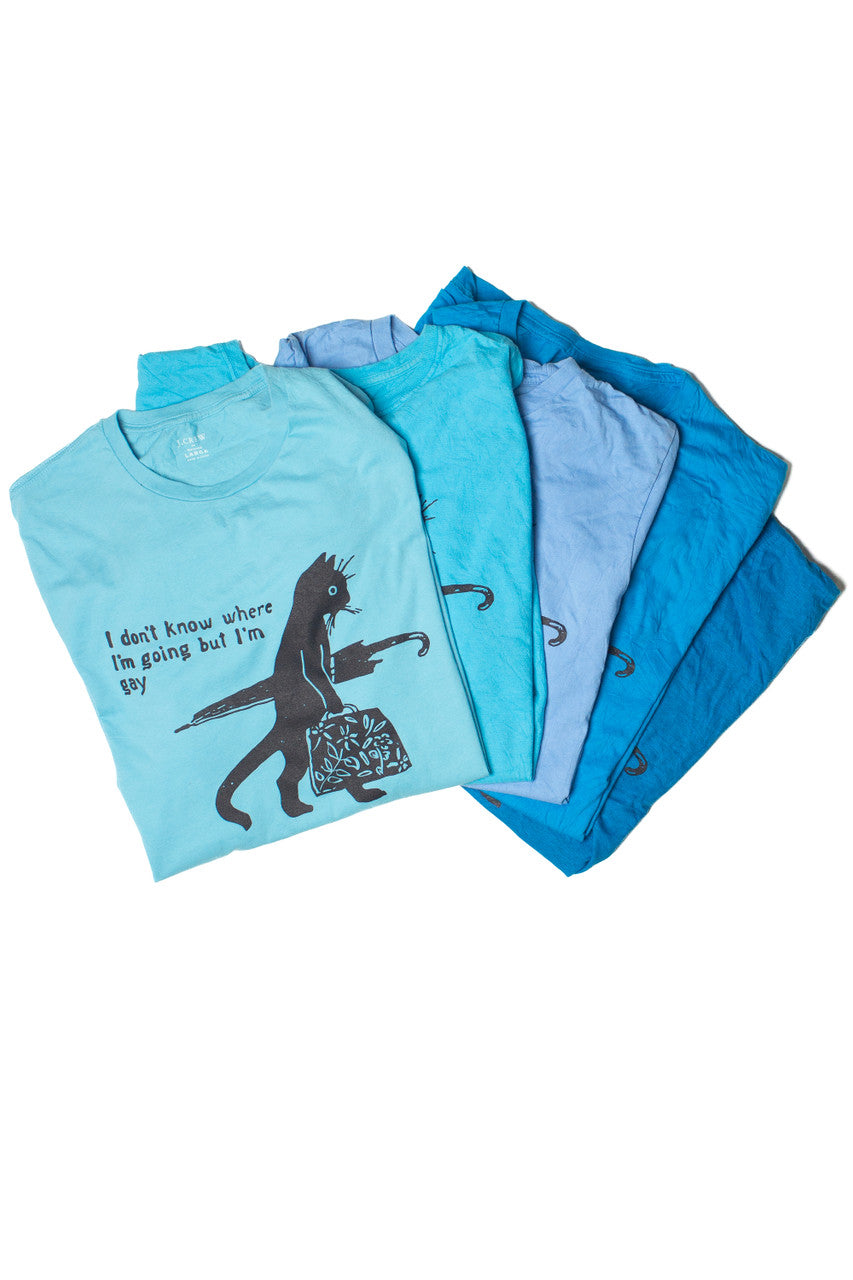 Gay Cat T-Shirt (Assorted Colors)
