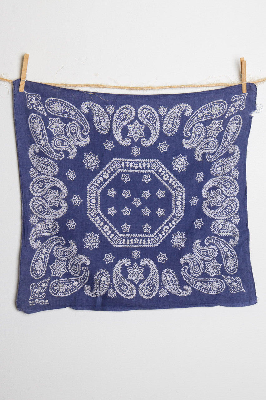 Paisley Bandana