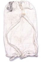 Lizard Beach Bag