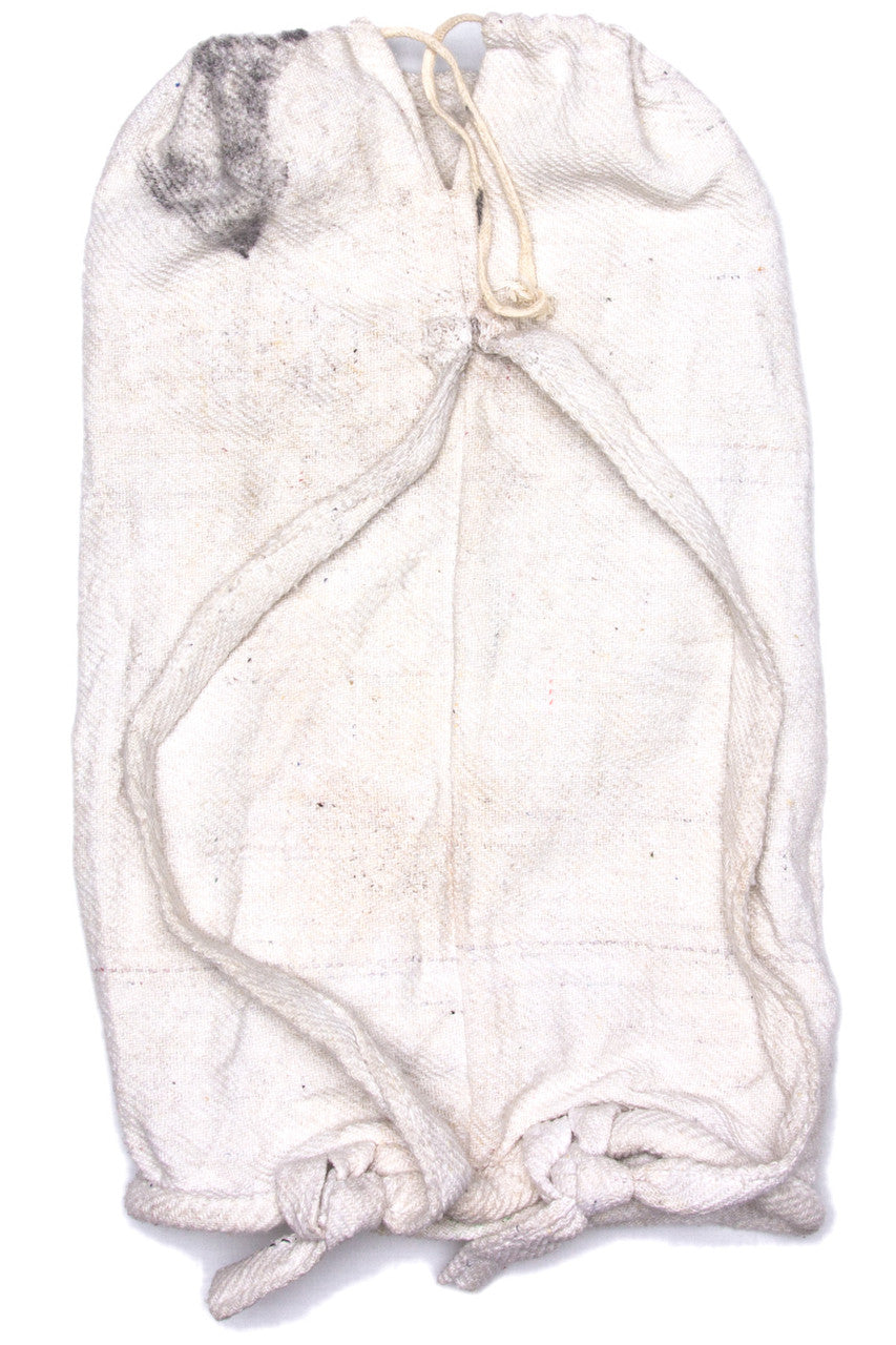 Lizard Beach Bag