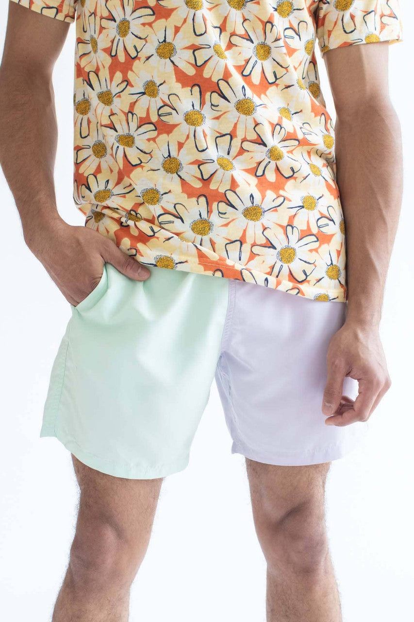Pastel Purple & Mint Color Blocked Swim Shorts