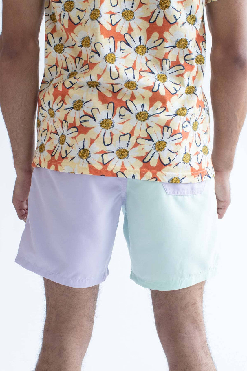 Pastel Purple & Mint Color Blocked Swim Shorts