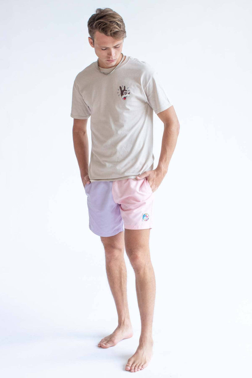Pastel Purple & Pink Color Blocked Swim Shorts