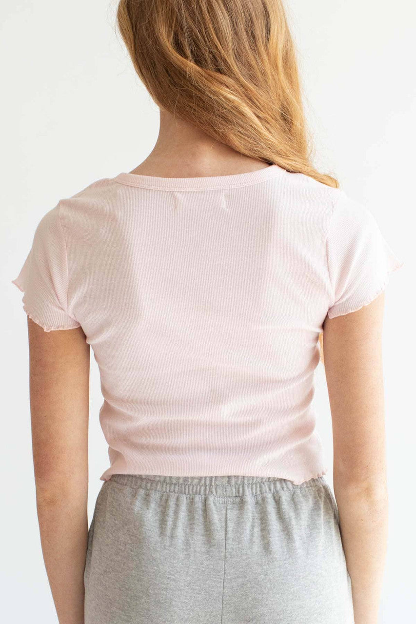 Pink Butterfly Embroidered Crop Tee
