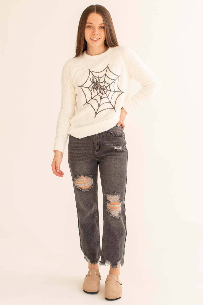 Sequin Spider Web Chenille Sweater