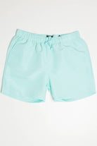 Turquoise Volley Shorts