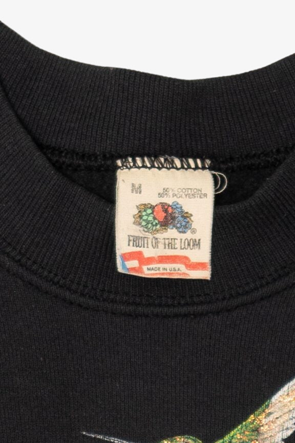 Vintage Colorado Hummingbirds Raglan Sweatshirt (1990s)