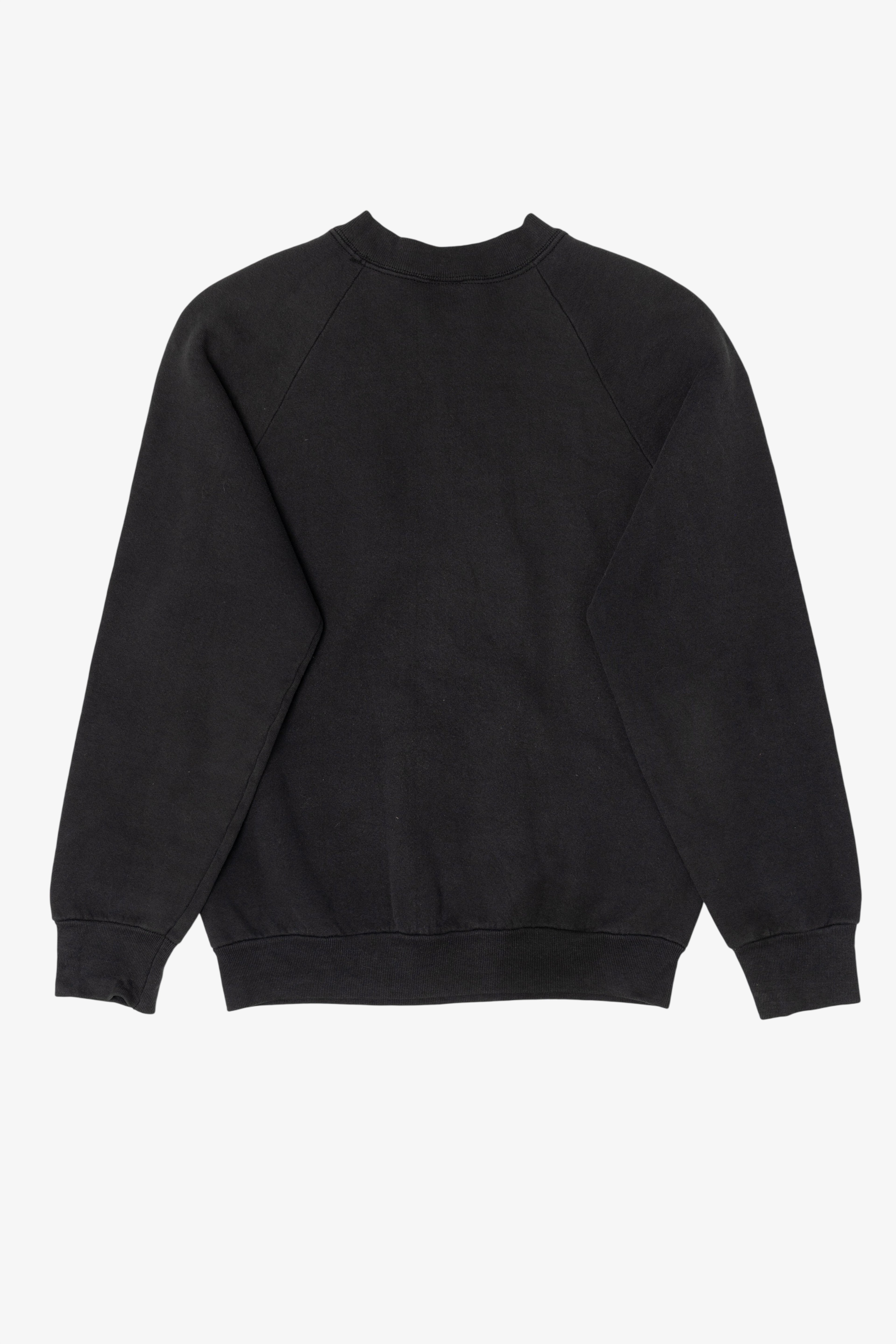 Vintage Colorado Hummingbirds Raglan Sweatshirt (1990s)