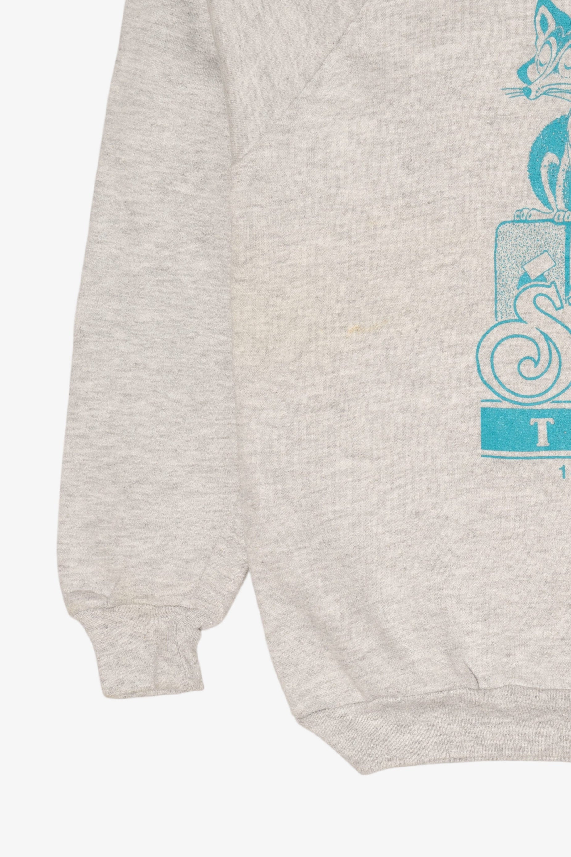 Vintage Light Gray Silver Fox Tours Raglan Sweatshirt (1990s)