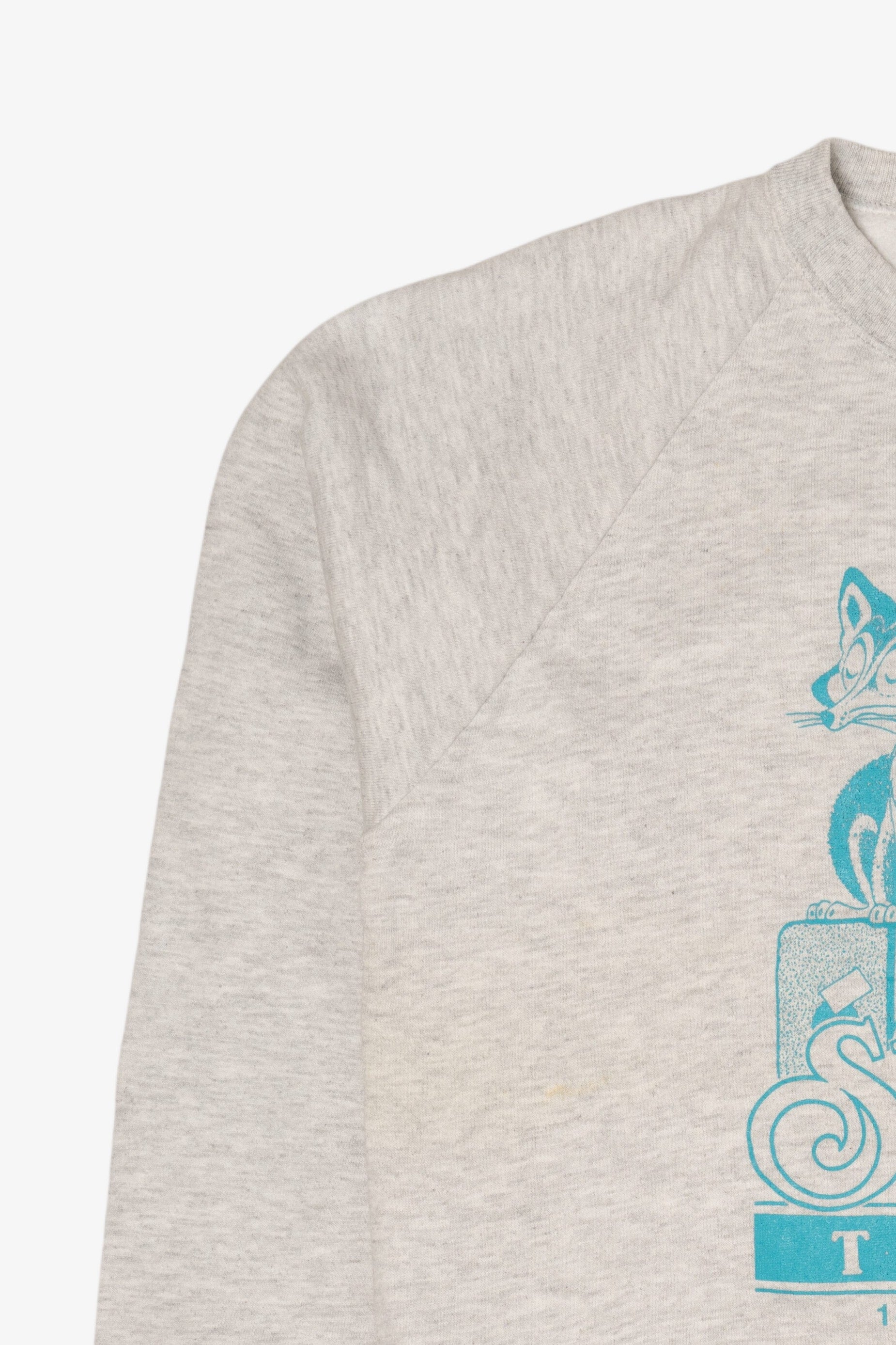 Vintage Light Gray Silver Fox Tours Raglan Sweatshirt (1990s)