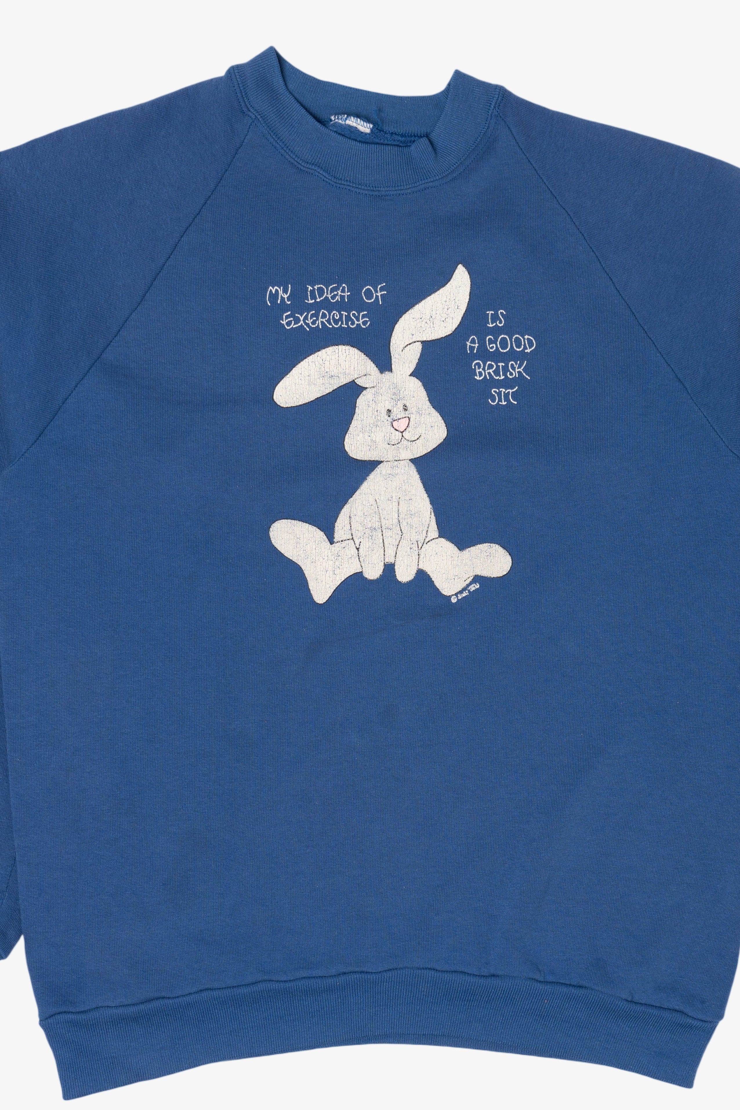 Vintage Blue "My Idea Of Exercise" Funny Bunny Raglan Sweatshirt (1990s)