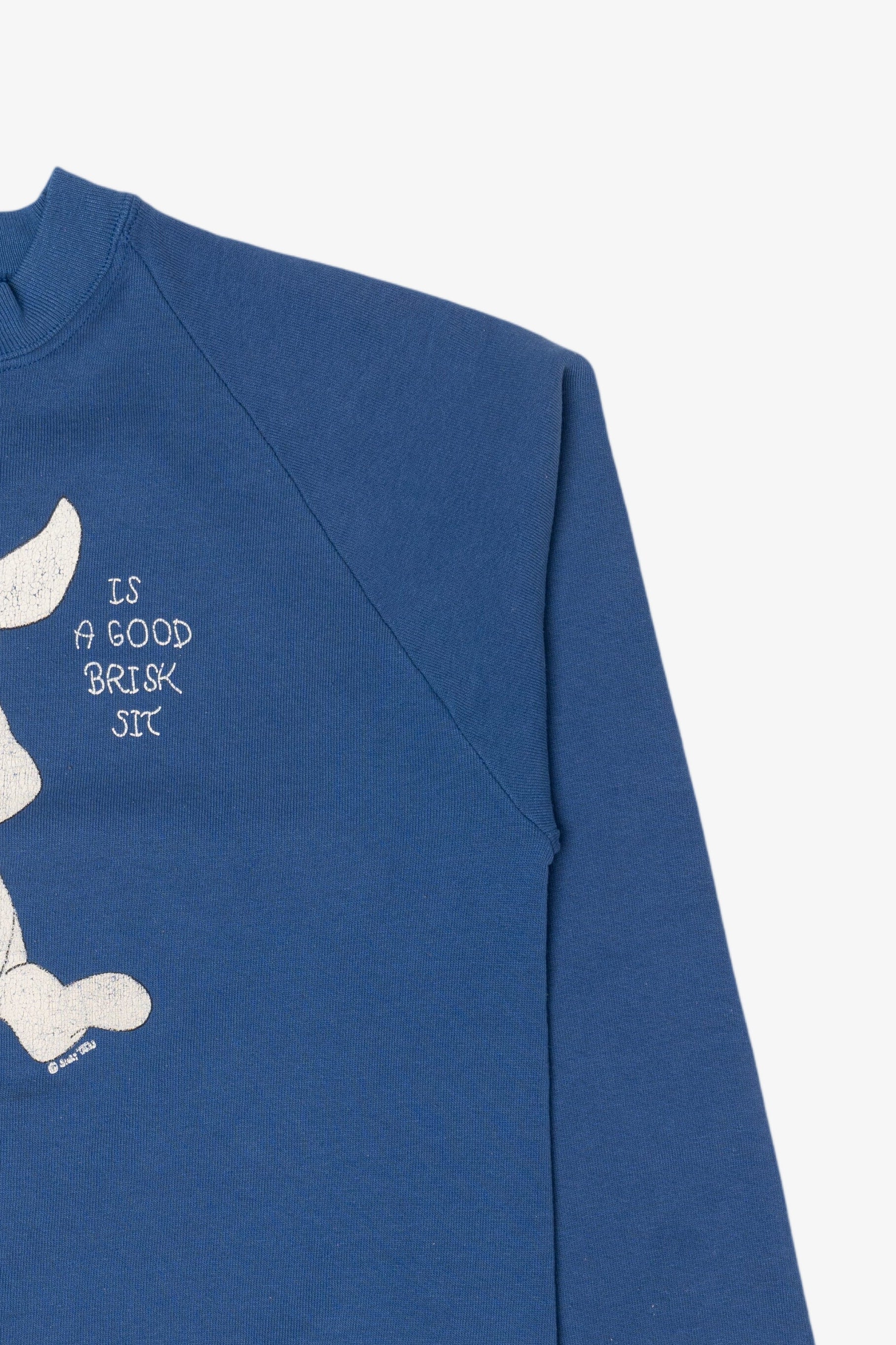 Vintage Blue "My Idea Of Exercise" Funny Bunny Raglan Sweatshirt (1990s)