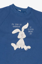 Vintage Blue "My Idea Of Exercise" Funny Bunny Raglan Sweatshirt (1990s)