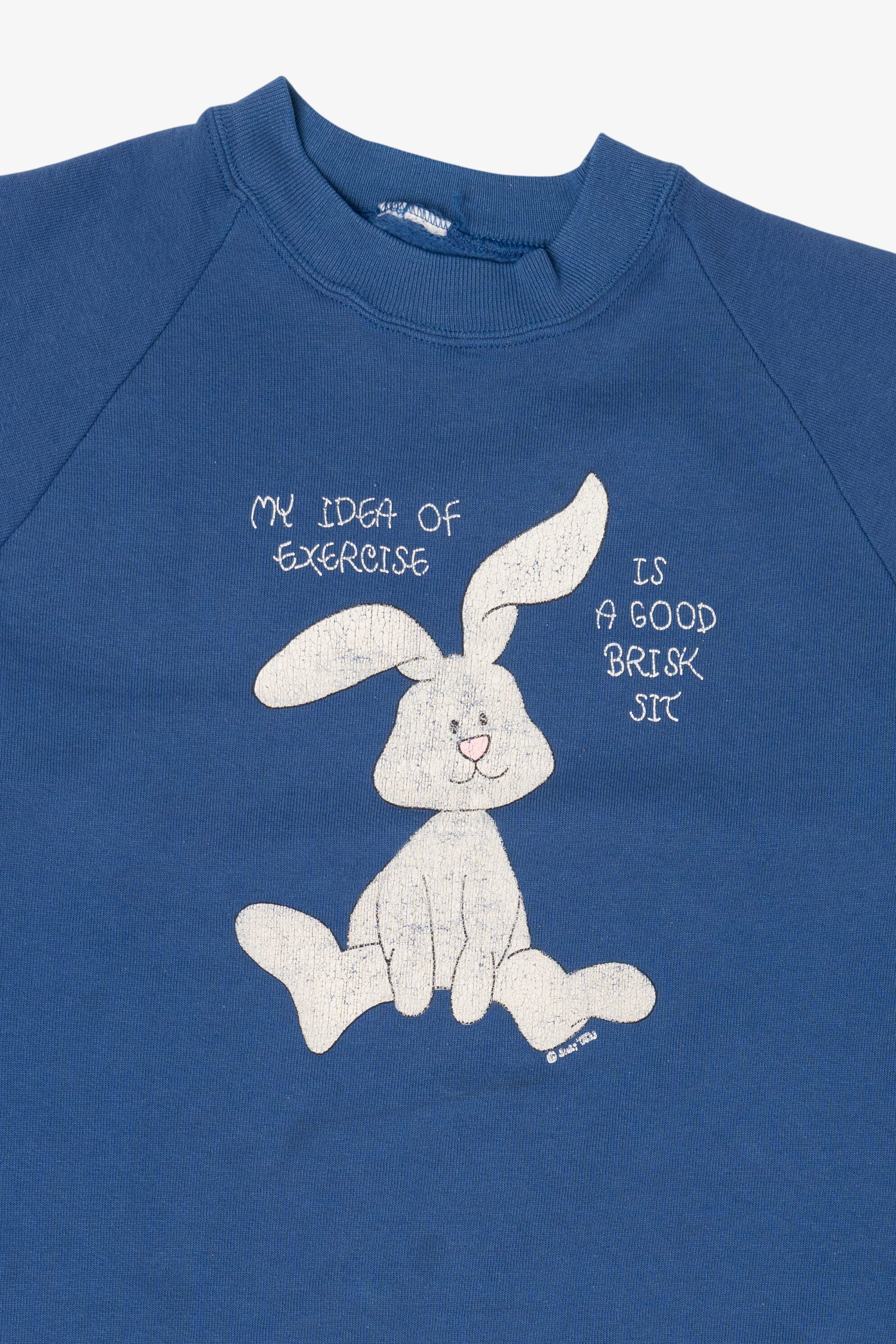 Vintage Blue "My Idea Of Exercise" Funny Bunny Raglan Sweatshirt (1990s)